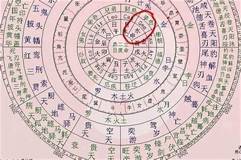 忌木|八字忌木类是什么意思 (八字五行忌木者是什么意思)